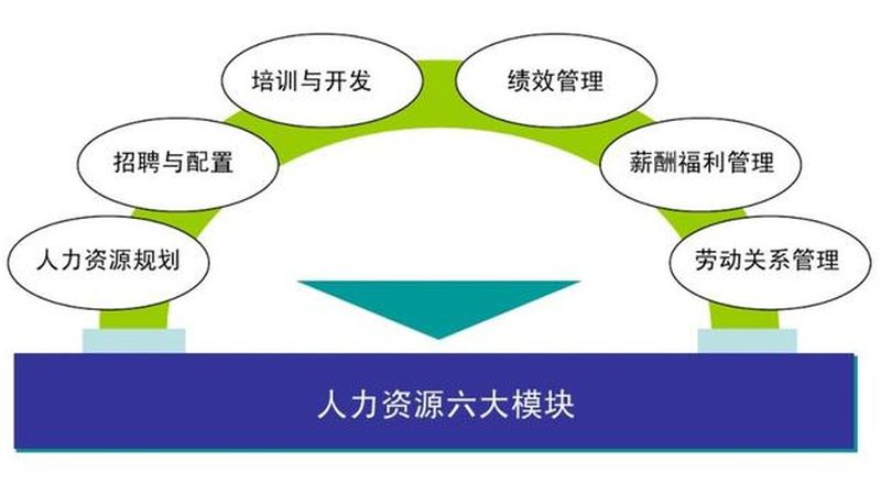 医药行业猎头：如何精准匹配人才，助力企业腾飞